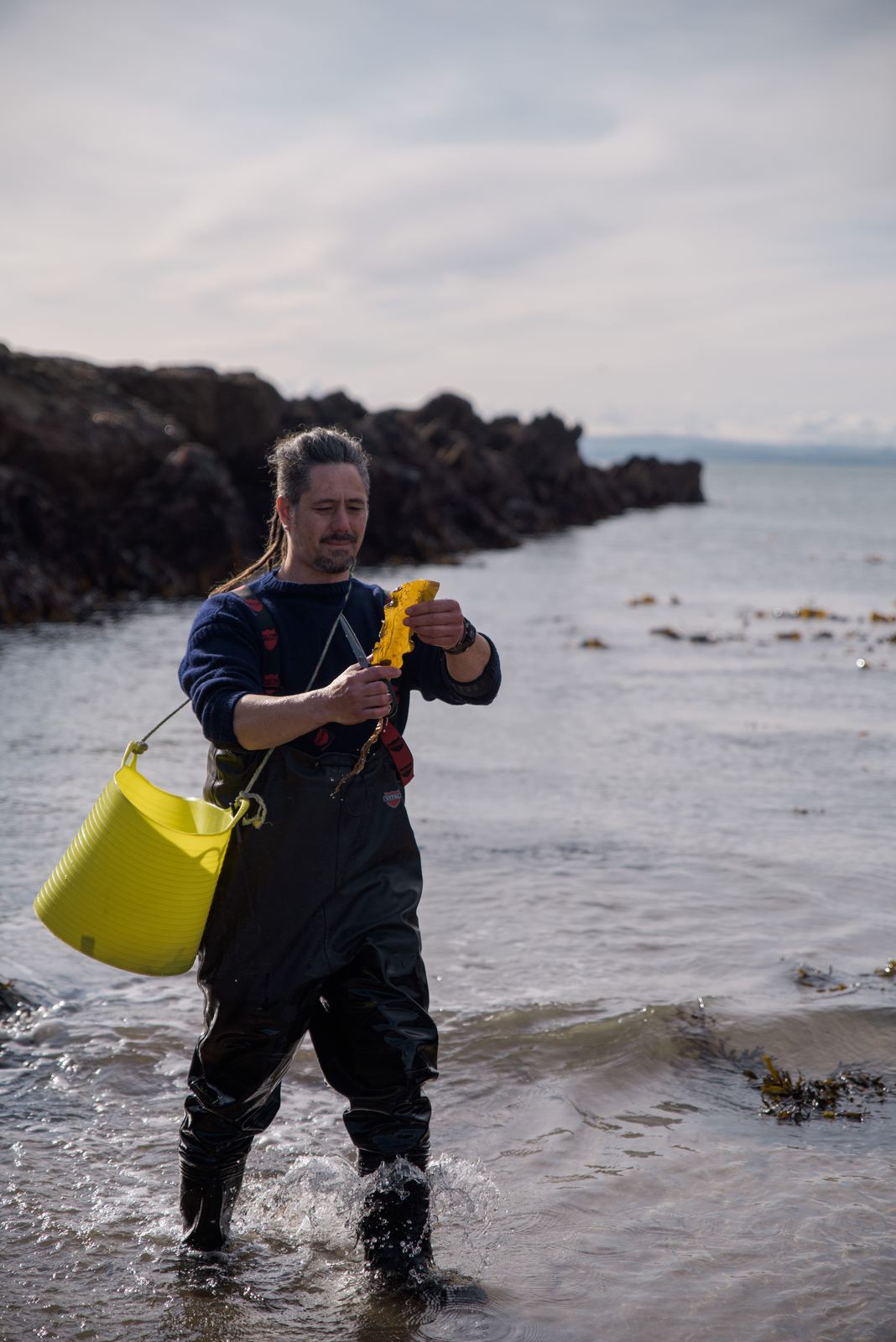 Jayson wading out to the kelp with his bucket