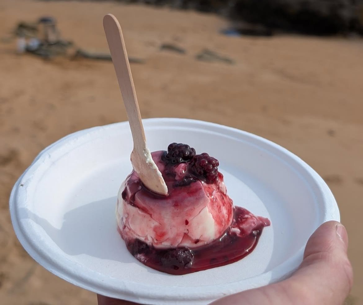 A carrageen pudding with berry sauce on a plate, held on the beach
