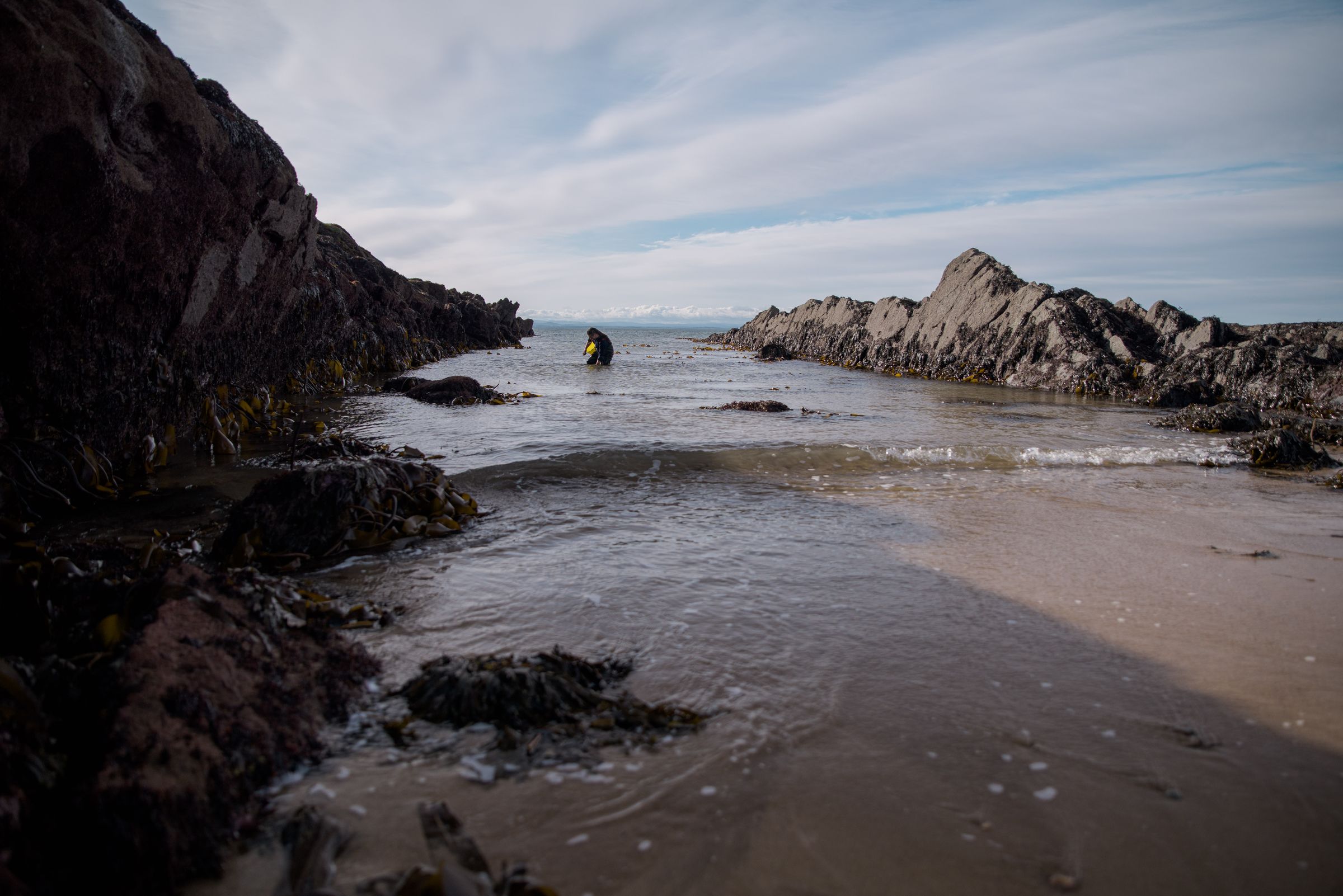 A quiet cove at low tide