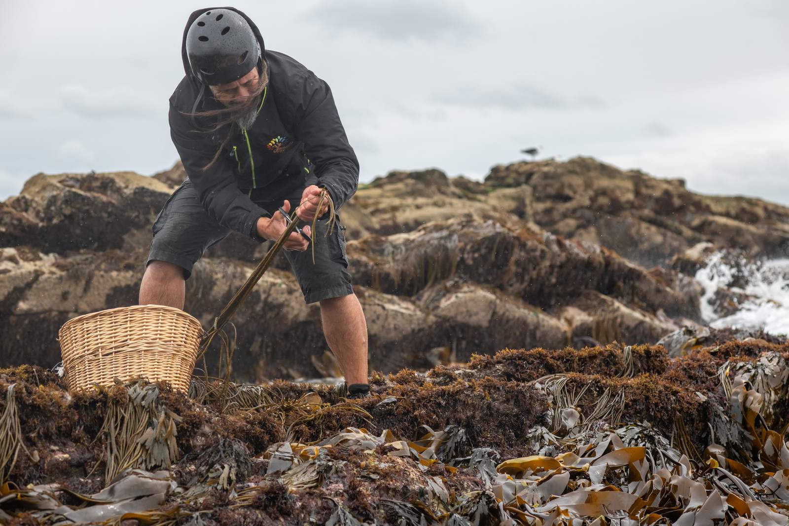 Cutting sea spaghetti