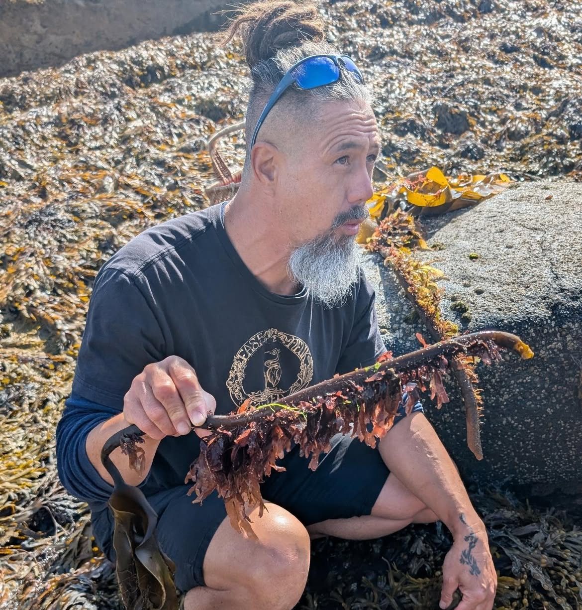 Jayson holding a kelp stipe with dulse growing along it