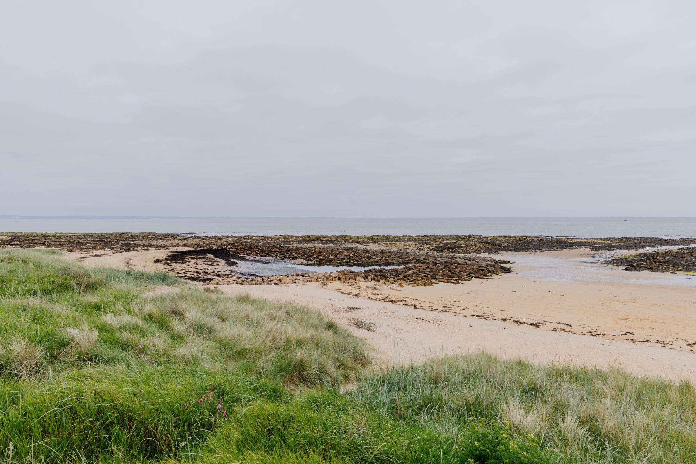The dunes and shore at Kingsbarns beach