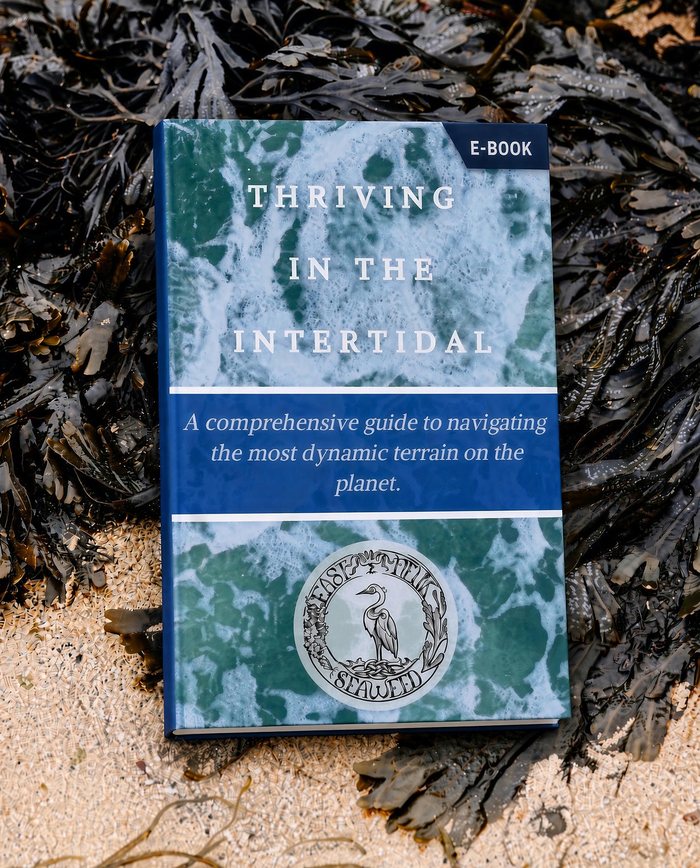 The Thriving in the Intertidal e-book resting on wrack and sand on the shore: a comprehensive guide to navigating the most dynamic terrain on the planet