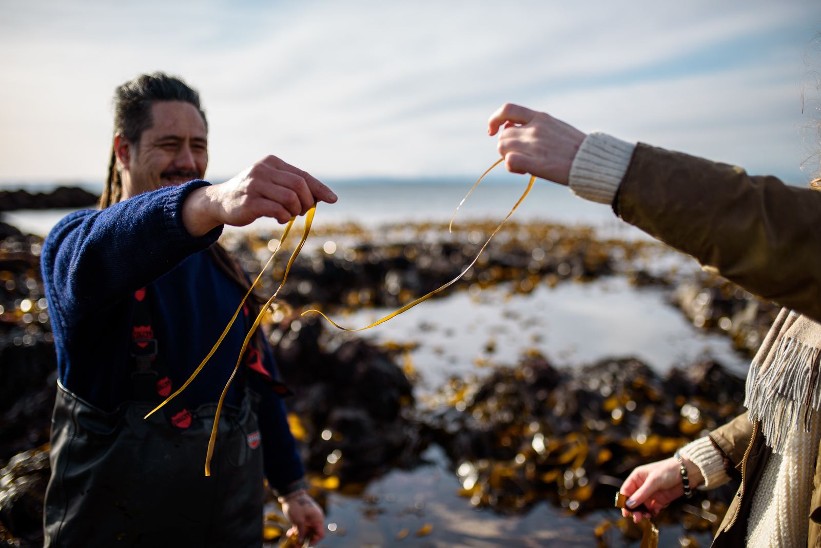 Handing over a strand of sea spaghetti to taste