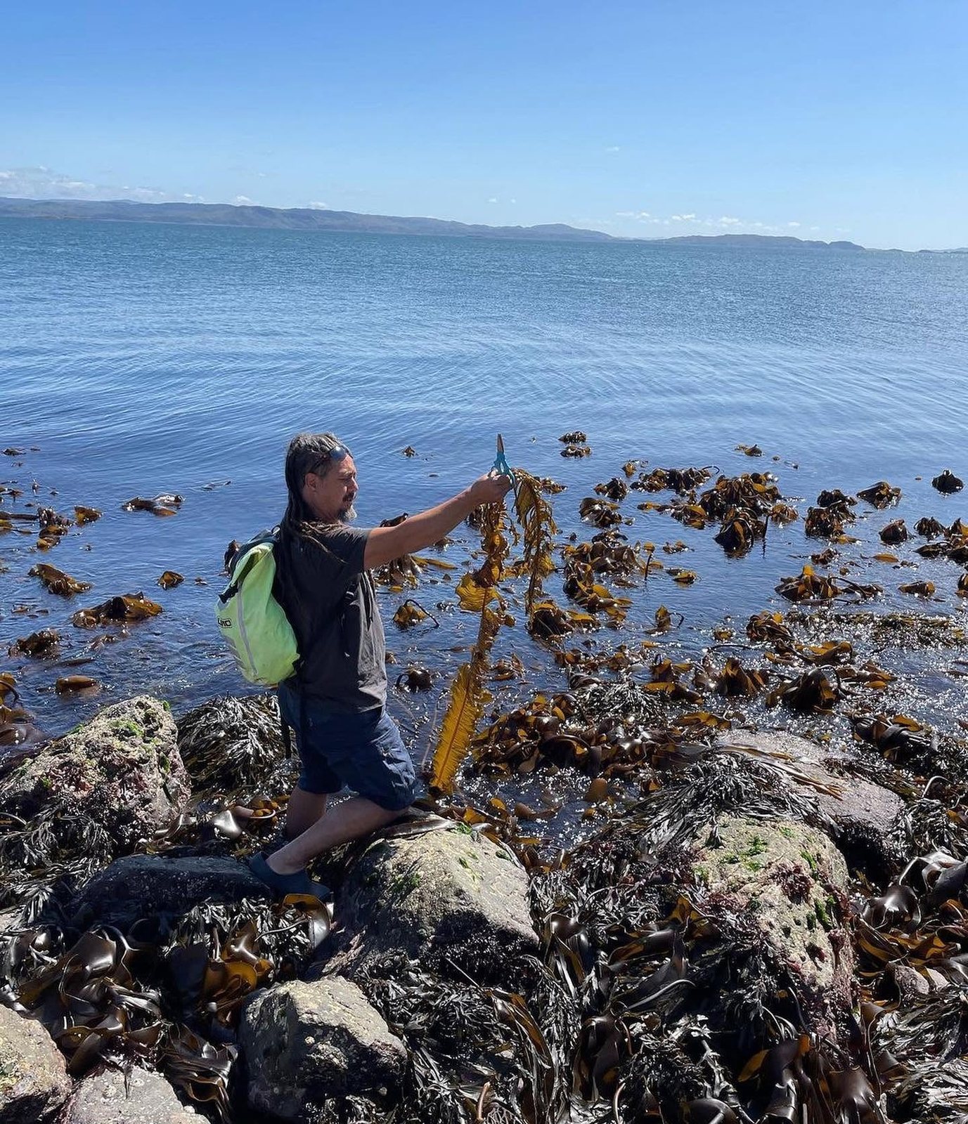 Jayson holding up a long kelp frond on the rocks, the Firth of Forth and the far shore behind him