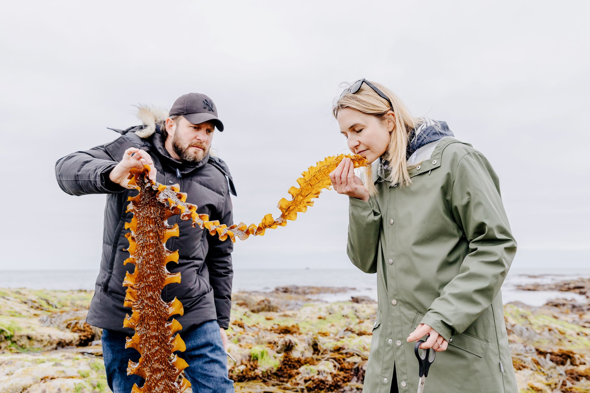 Guests laughing while holding a long oarweed frond