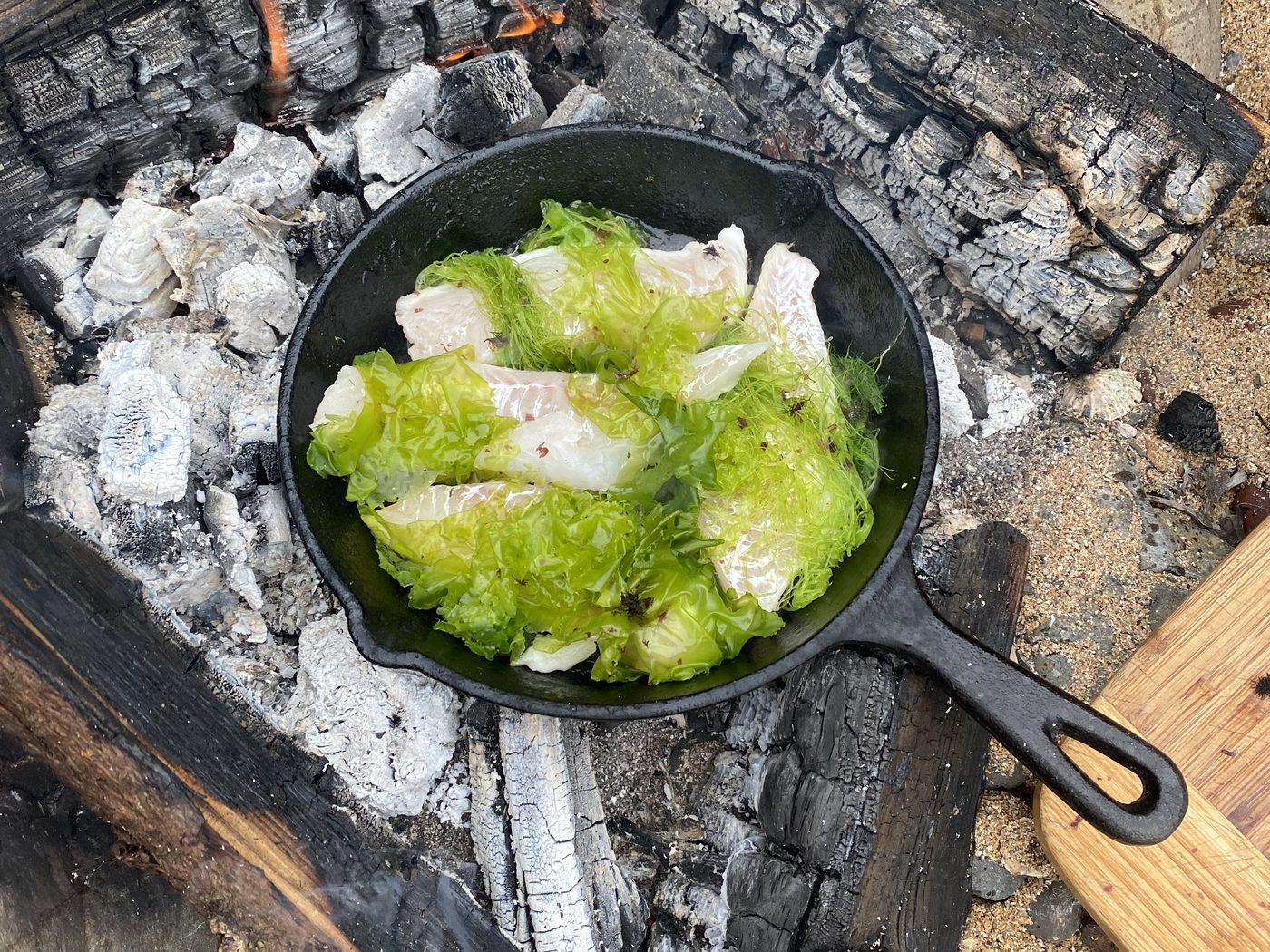 Fish and bright green sea lettuce cooking in a cast-iron pan over embers