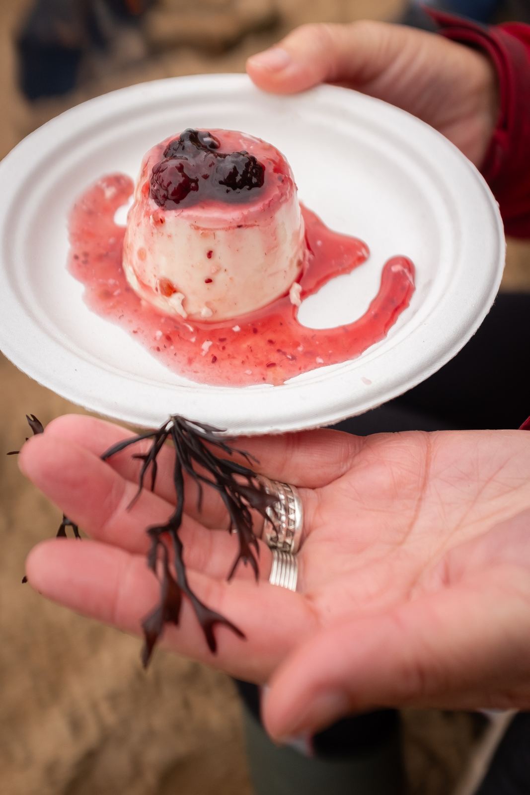 Seaweed panna cotta with berry sauce on a plate