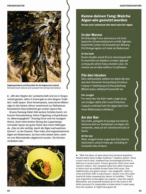 WINGS magazine — feature page 61