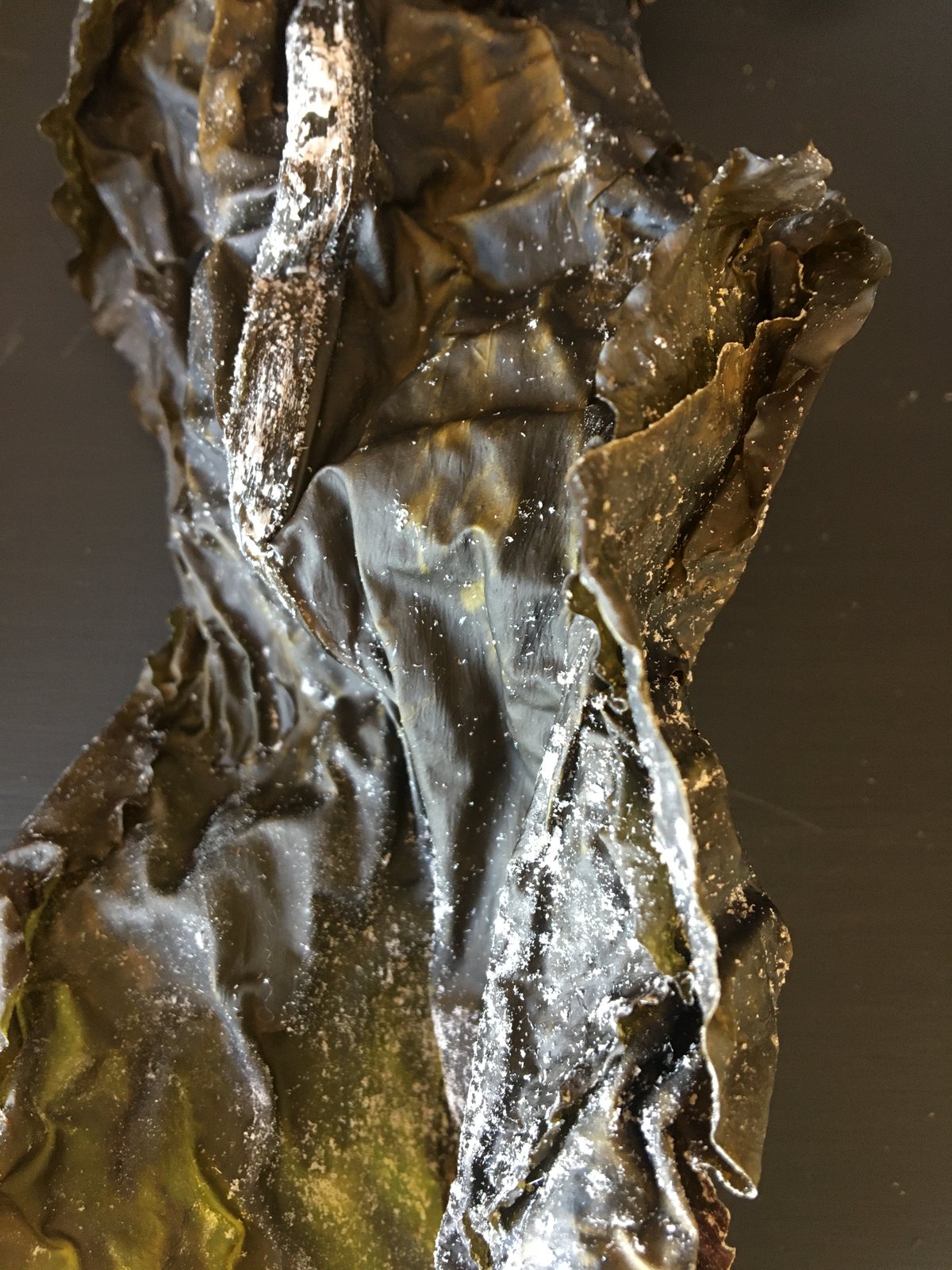 Dried, aged sugar kelp fronds coated in a white bloom of natural mannitol