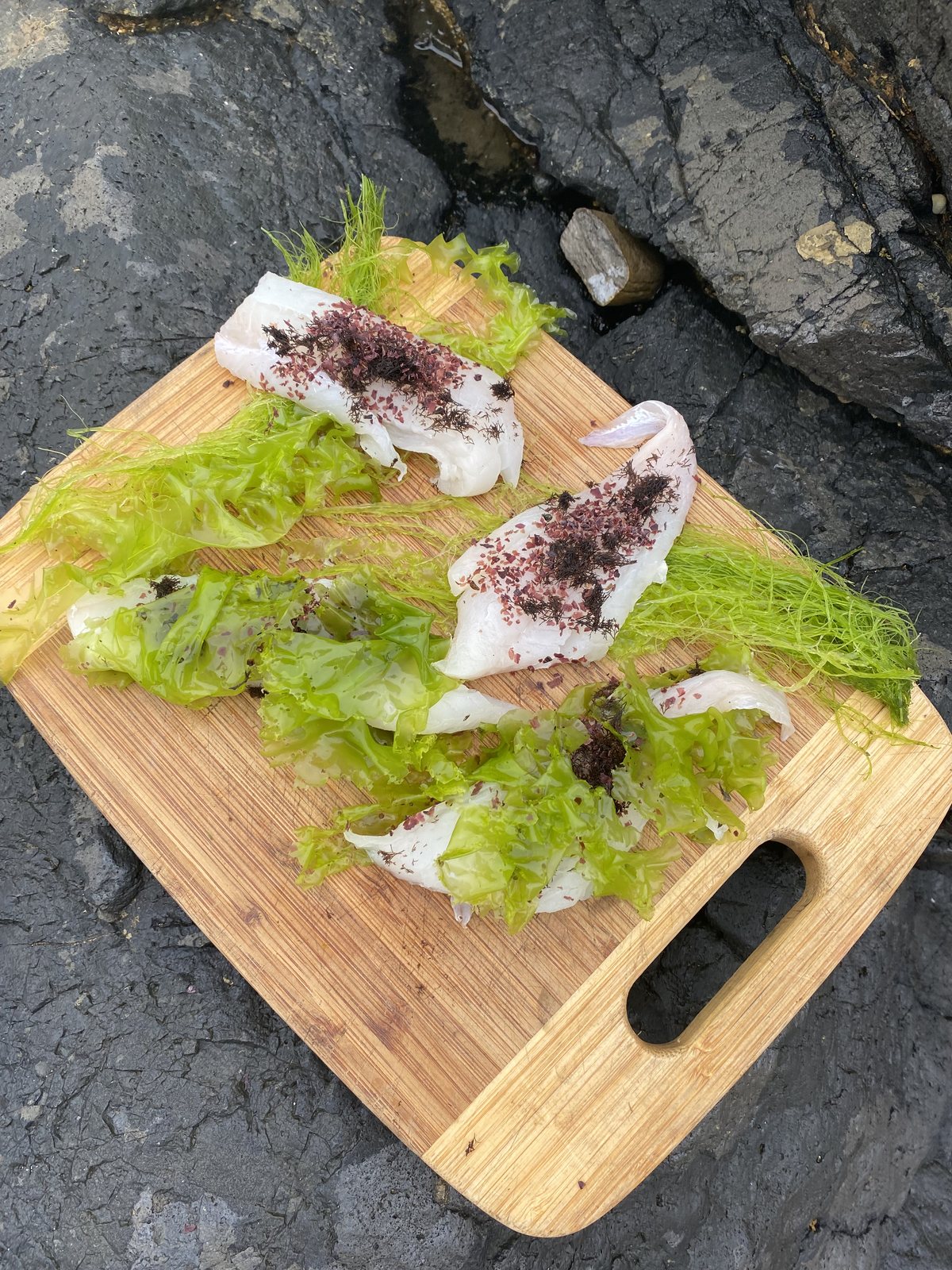 Fresh hake fillets wrapped in sea lettuce and sprinkled with dried dulse and fresh truffle weed, on a board on the rocks