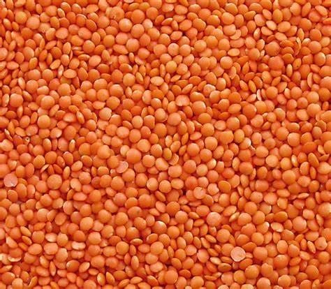 Red split lentils — the body of the batter