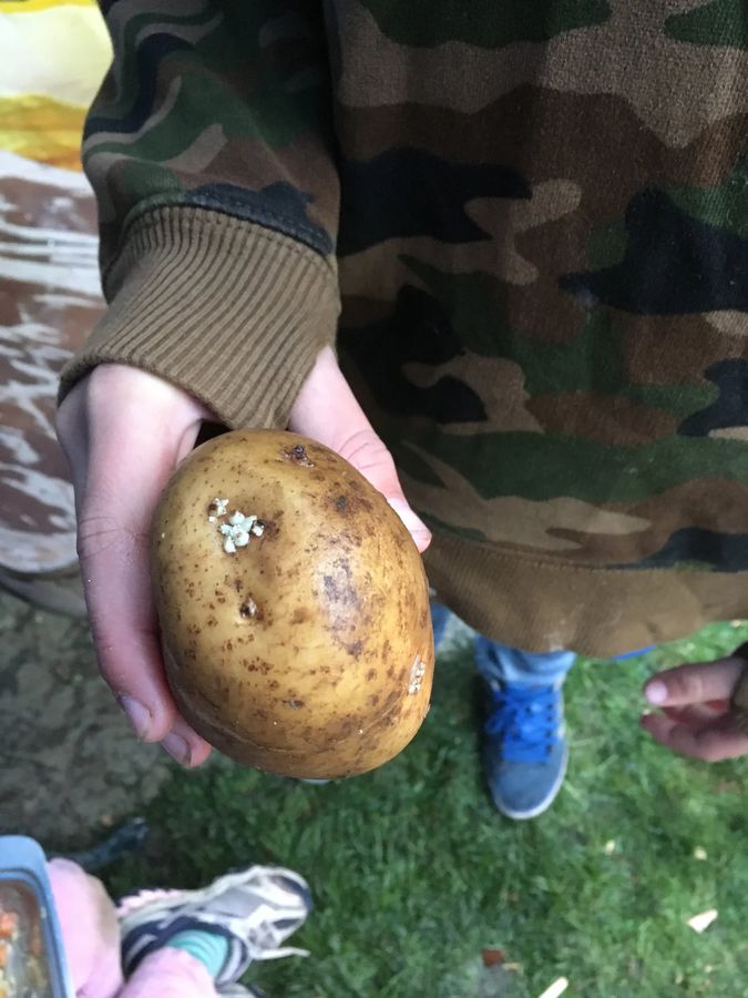 Step 1 — carve out the potato, keep the lid