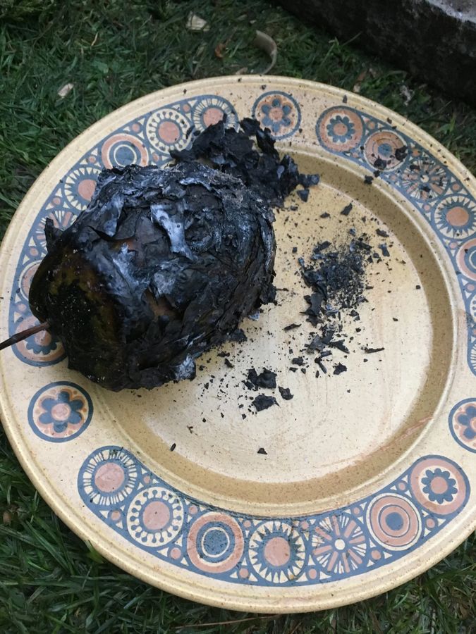 Step 6 — out of the fire, seaweed charred