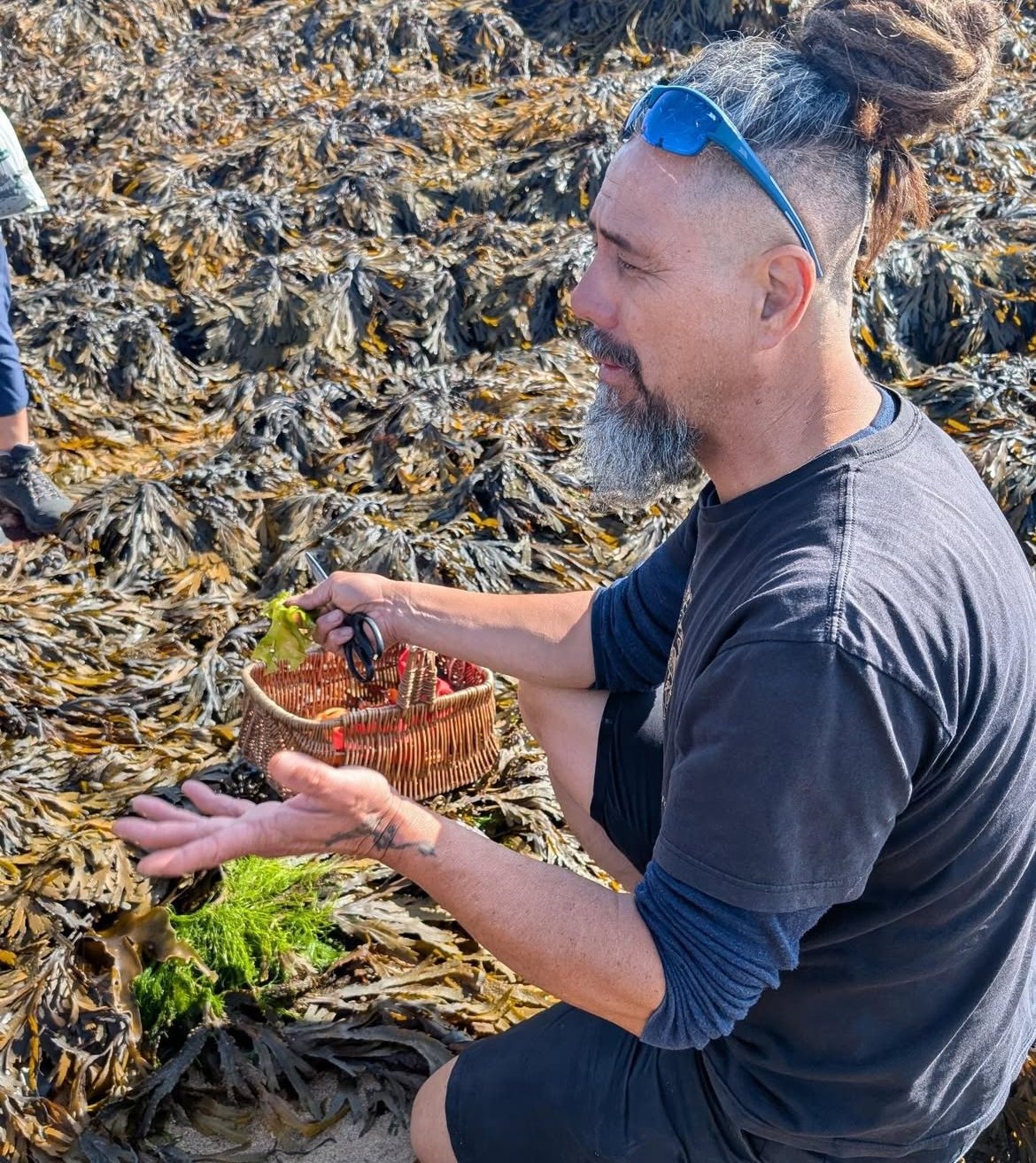 Jayson kneeling among the wracks, putting sea lettuce into a wicker basket