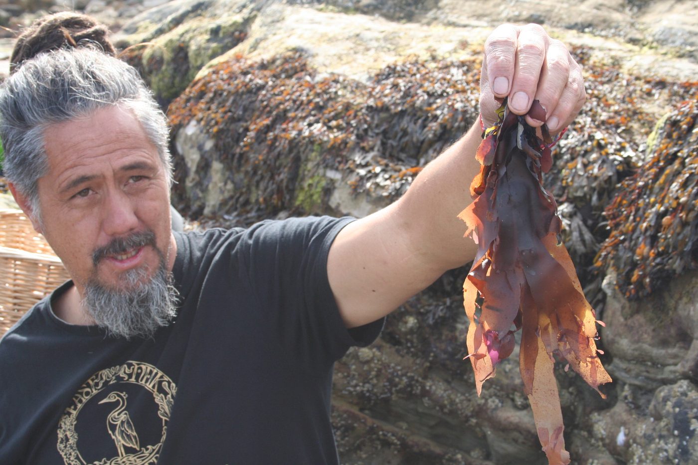 Jayson Byles holding up a frond of dulse on the East Neuk shore, wrack-covered rock behind him