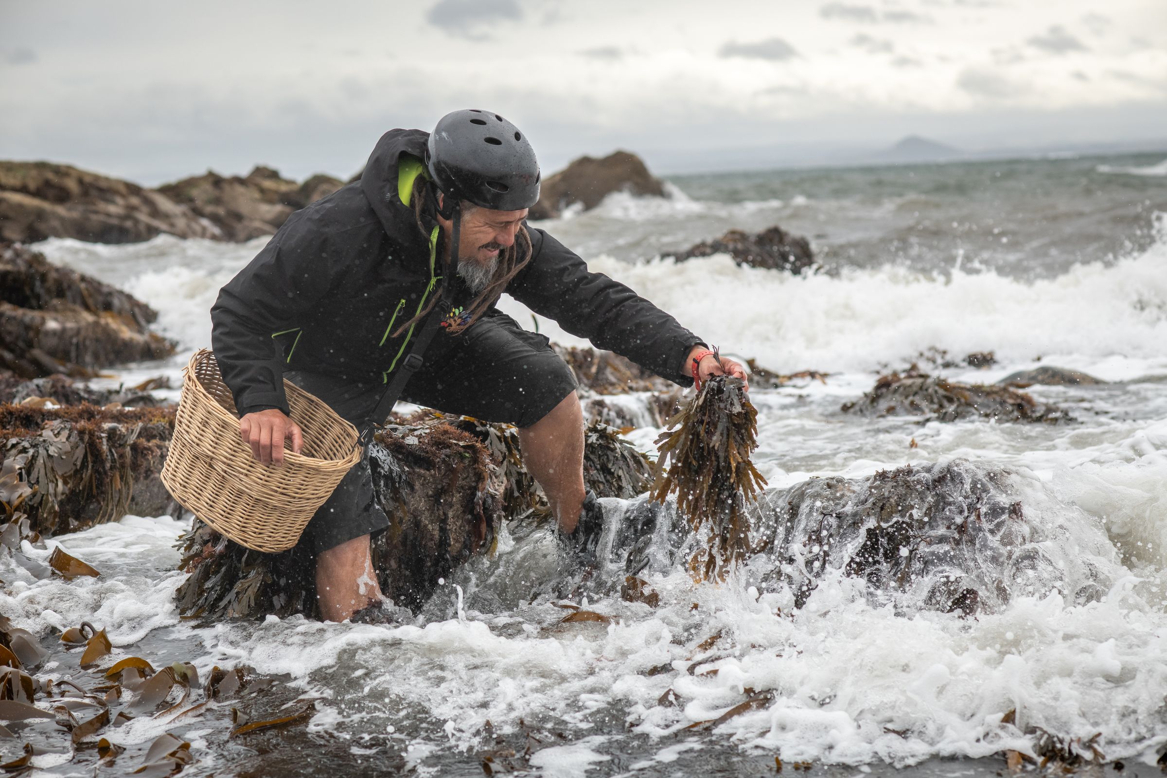 Harvesting seaweed as the swell breaks over the rocks