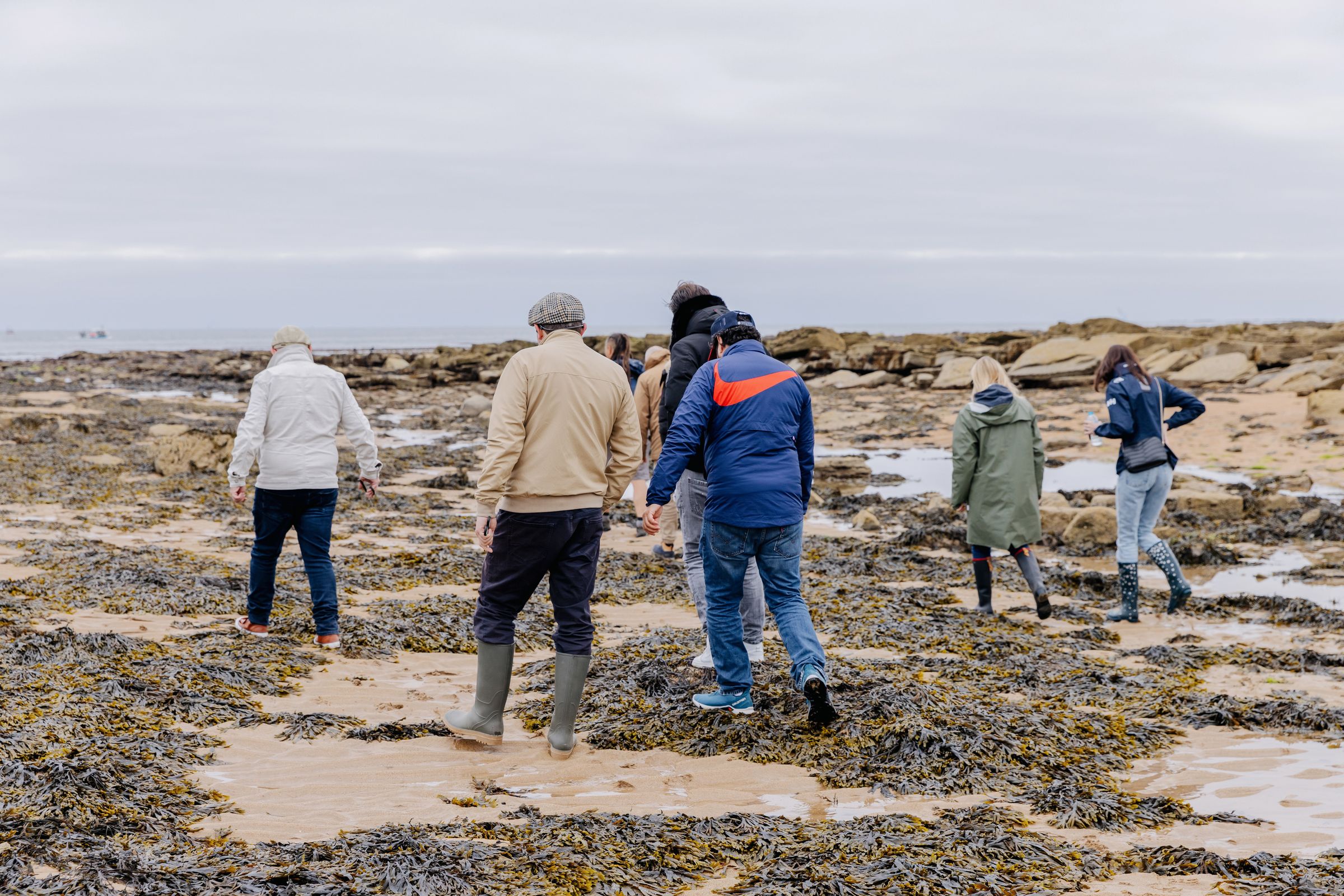 A group wading through the rockpools