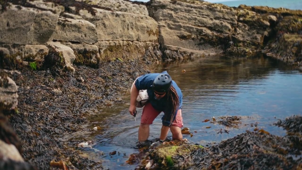 The Seaweed Forager — film